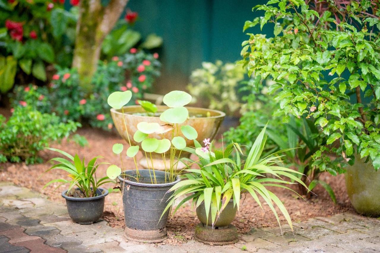 Villa Aanya Hikkaduwa Bagian luar foto